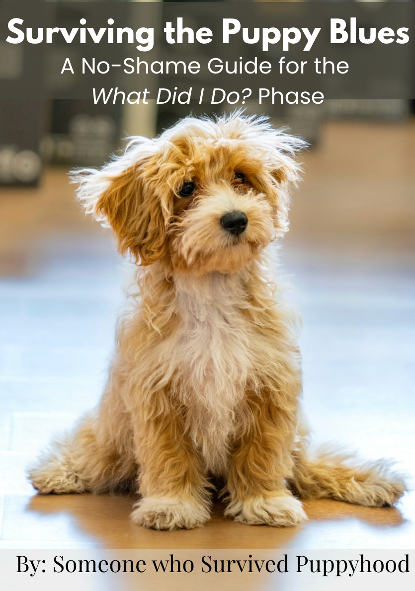 Surviving the Puppy Blues: No-Shame Guide for the "What Did I Do?" Phase