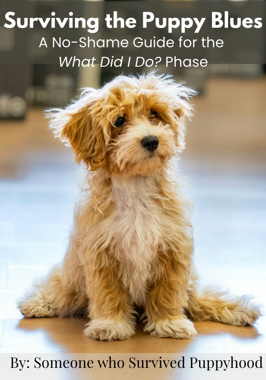 Surviving the Puppy Blues: No-Shame Guide for the "What Did I Do?" Phase